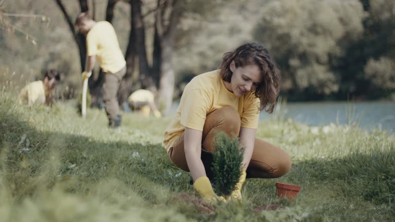 Best Tree Preservation Services  in Spring Glen, UT